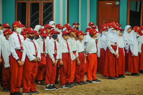 Apa Itu Peringkat Sekolah Dasar?