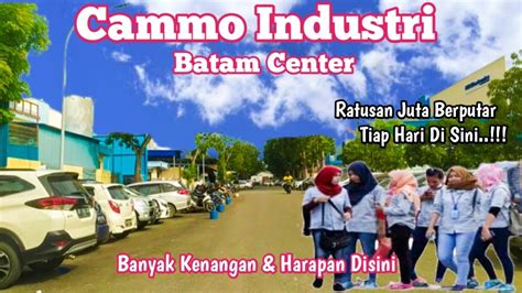 Potensi Bisnis di Cammo Industrial Park Batam