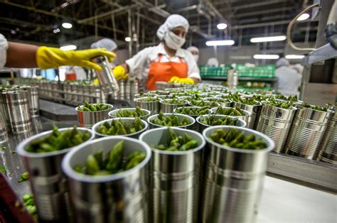 Industri Agro