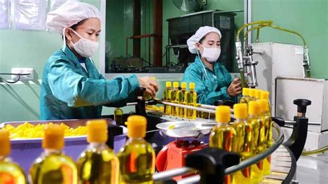 Industri Kosmetik