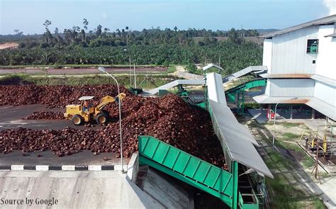 Perusahaan Kelapa Sawit di Kalimantan Utara