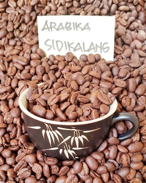 Kopi