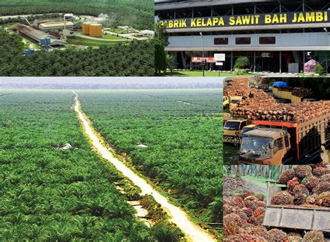 Daftar Perusahaan Sawit di Kabupaten Landak