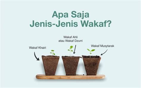 Jenis-Jenis Ayat di Al Quran