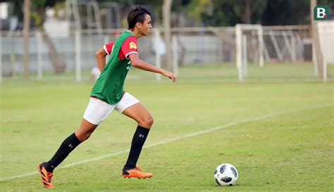 Selebritas Timnas Indonesia
