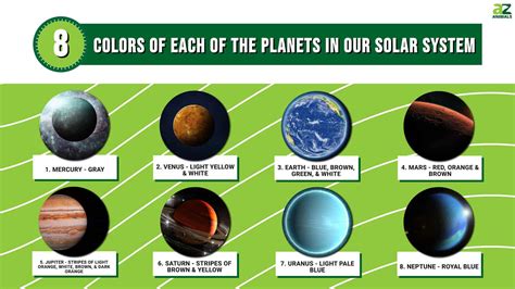 8. Planet/in Love